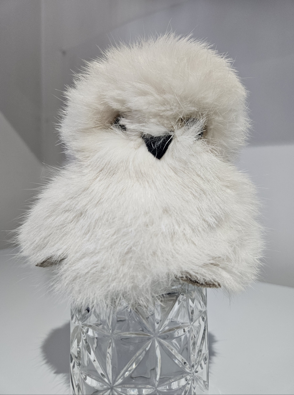 White Fur Owl